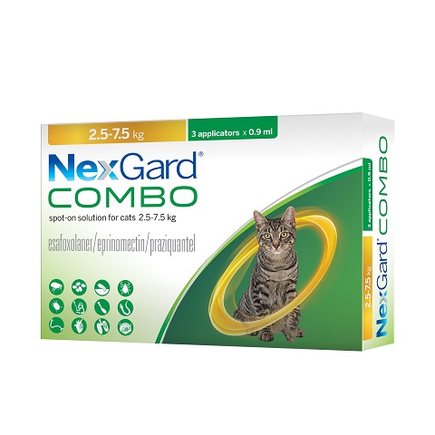 nexgard combo chat combien de temps